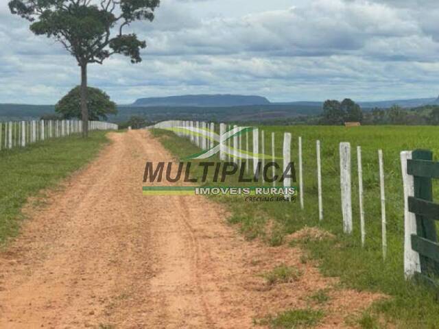 #614 - Fazenda para Venda em Serranópolis - GO - 1