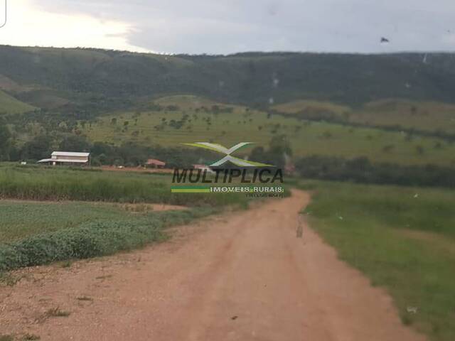 #615 - Fazenda para Venda em Niquelândia - GO - 1