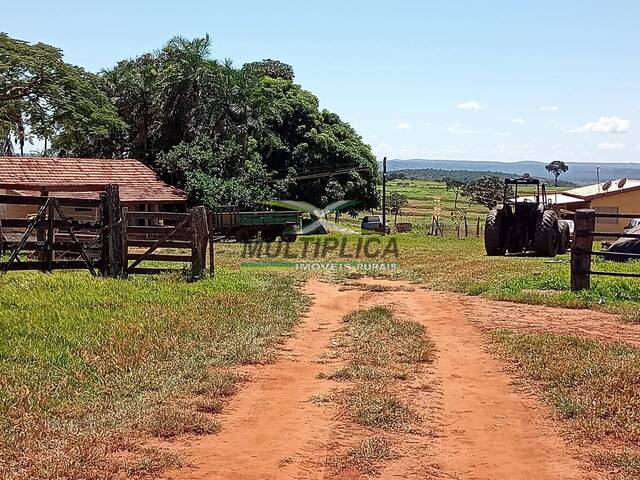 #616 - Fazenda para Venda em Campina Verde - MG - 1