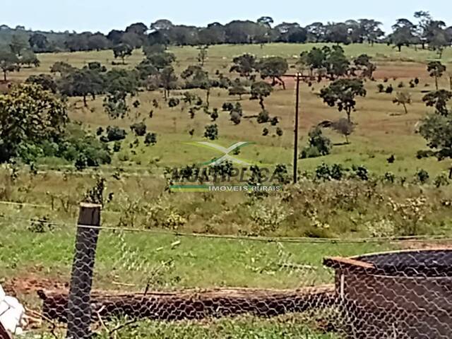 #616 - Fazenda para Venda em Campina Verde - MG - 2