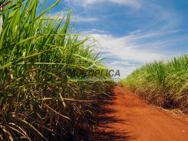 #617 - Fazenda para Venda em União de Minas - MG - 3