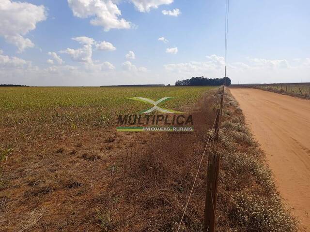 #620 - Fazenda para Venda em Uberlândia - MG - 3