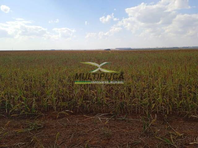 #621 - Fazenda para Venda em Uberlândia - MG