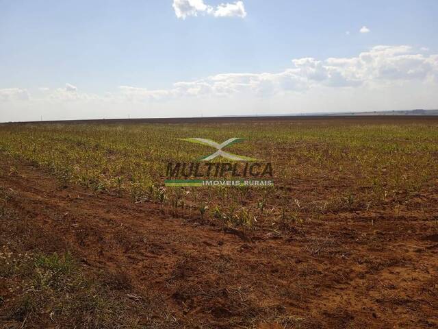 #621 - Fazenda para Venda em Uberlândia - MG