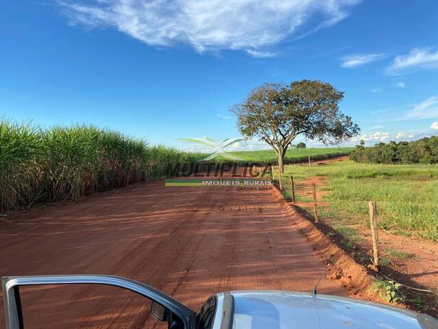 #624 - Fazenda para Venda em Campina Verde - MG - 1