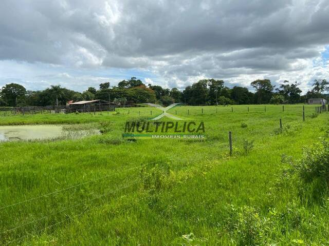 #625 - Fazenda para Venda em Brasilândia de Minas - MG