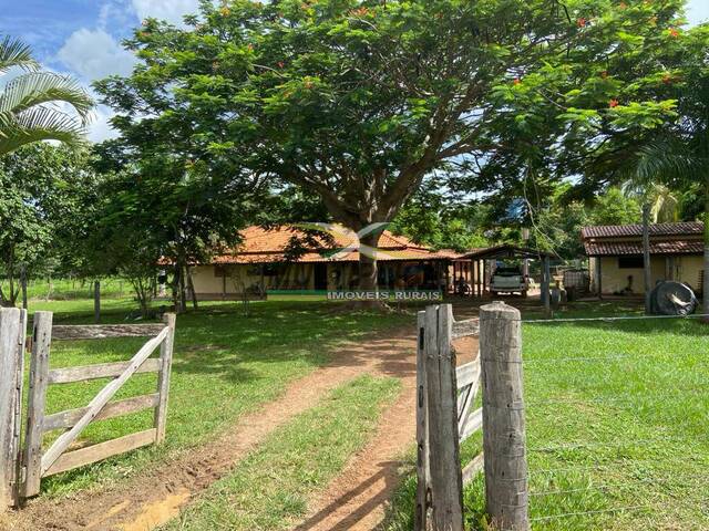 #625 - Fazenda para Venda em Brasilândia de Minas - MG