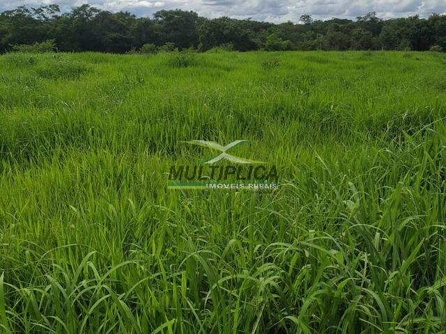 #625 - Fazenda para Venda em Brasilândia de Minas - MG