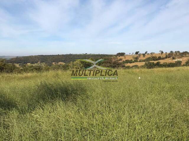 #630 - Fazenda para Venda em Campo Florido - MG