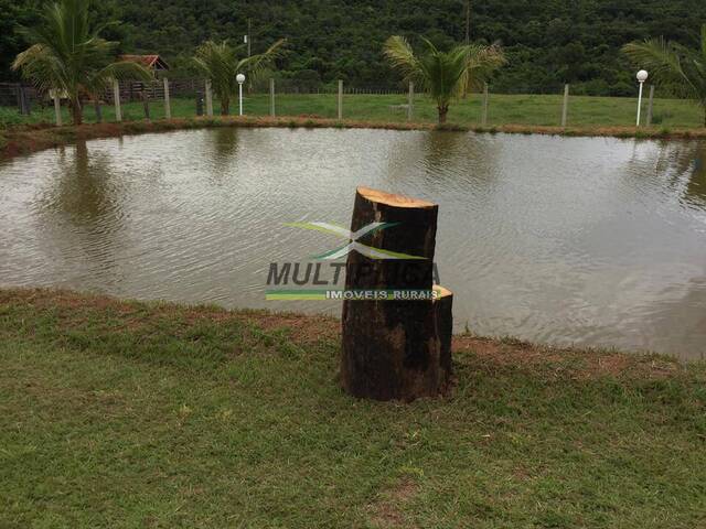 #630 - Fazenda para Venda em Campo Florido - MG