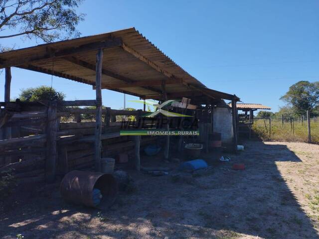 #634 - Fazenda para Venda em São Romão - MG