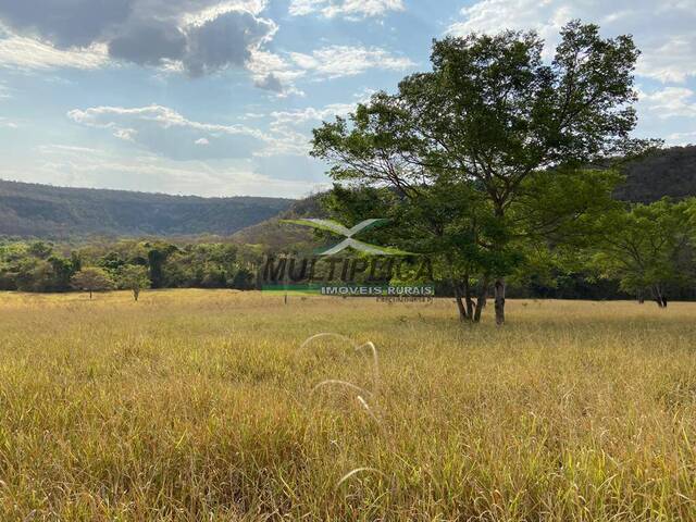 #635 - Fazenda para Venda em Campina Verde - MG - 1