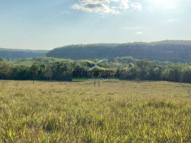 #635 - Fazenda para Venda em Campina Verde - MG - 2