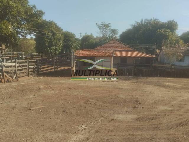 #637 - Fazenda para Venda em Monte Alegre de Minas - MG - 2