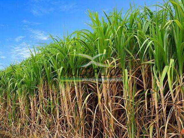 #636 - Fazenda para Venda em Uberaba - MG