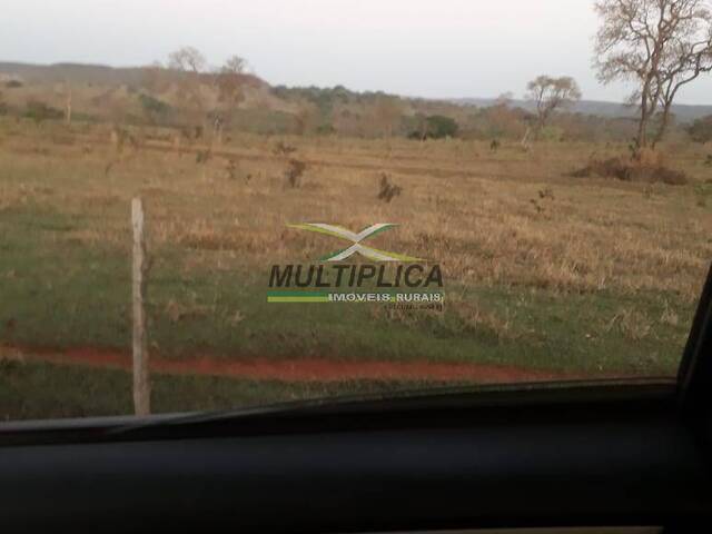 #640 - Fazenda para Venda em Campina Verde - MG - 3