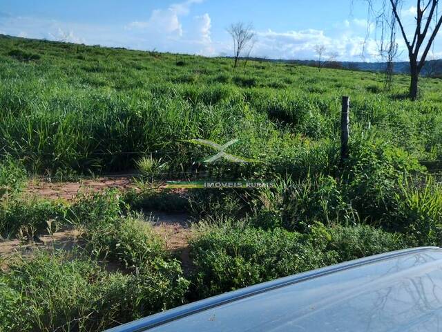 #641 - Fazenda para Venda em Jaíba - MG - 1