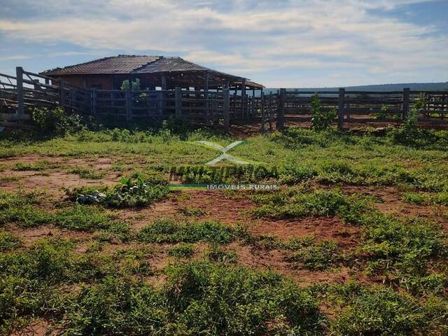 #641 - Fazenda para Venda em Jaíba - MG - 3