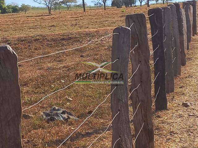 #644 - Fazenda para Venda em Iturama - MG - 3