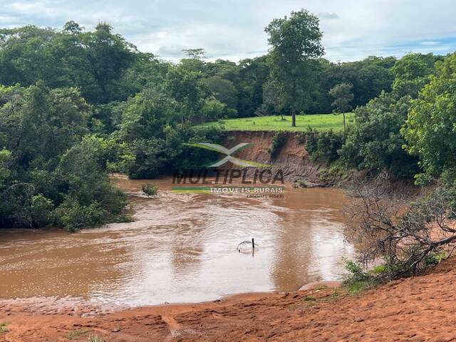 #647 - Fazenda para Venda em Campina Verde - MG