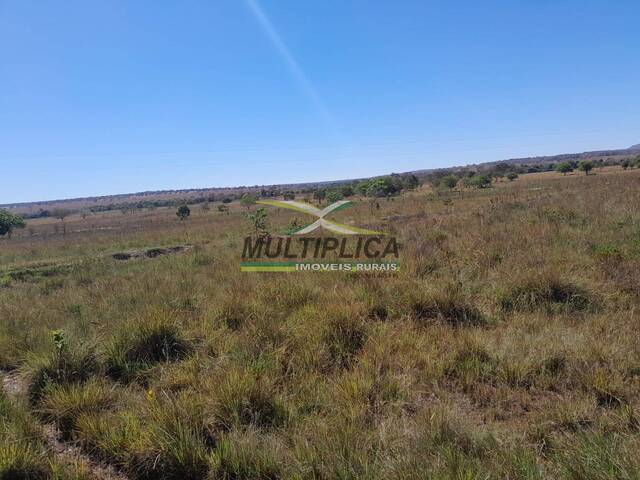 #649 - Fazenda para Venda em Santa Vitória - MG - 2