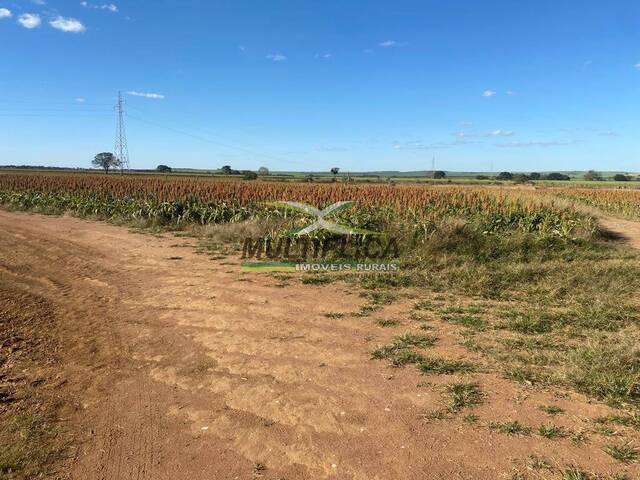 #650 - Fazenda para Venda em Conceição das Alagoas - MG