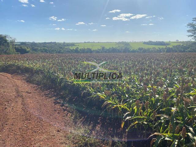 #650 - Fazenda para Venda em Conceição das Alagoas - MG