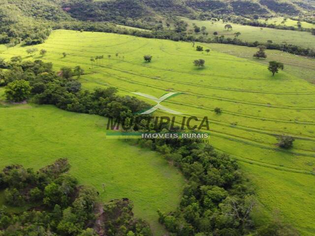 #654 - Fazenda para Venda em Gurinhatã - MG - 1