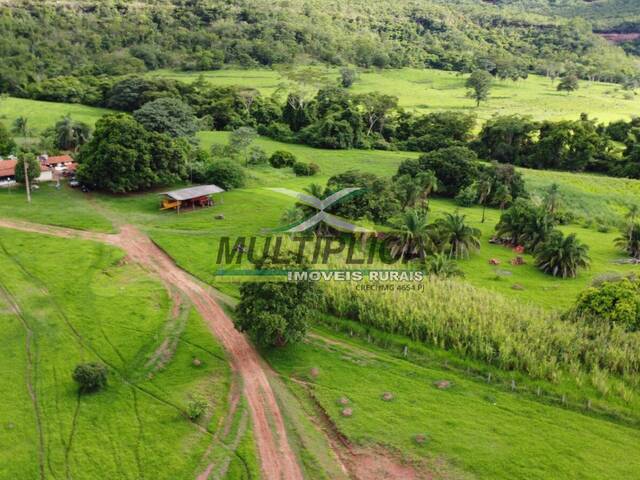 #654 - Fazenda para Venda em Gurinhatã - MG - 2