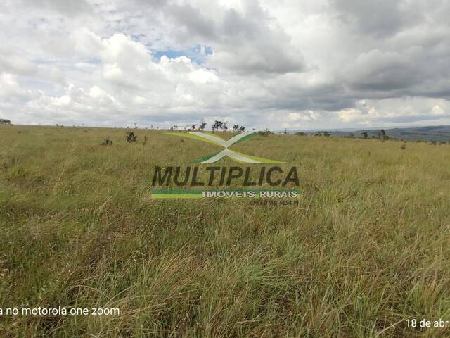 #655 - Fazenda para Venda em Tapira - MG