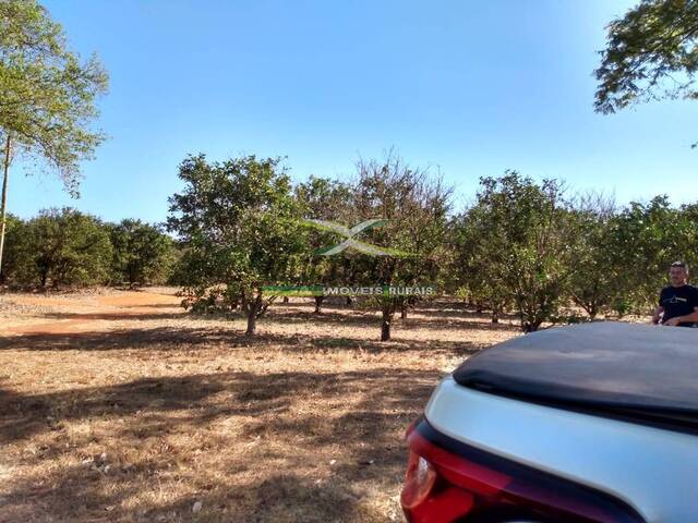 #659 - Fazenda para Venda em Monte Alegre de Minas - MG - 2