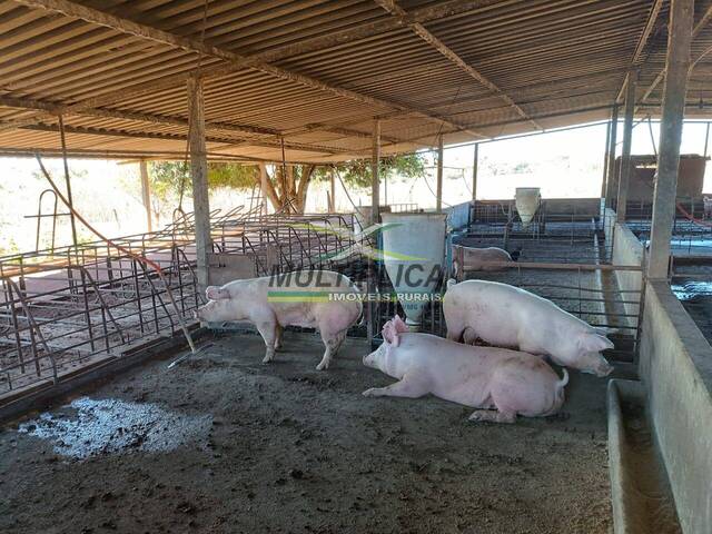 #660 - Fazenda para Venda em Prata - MG