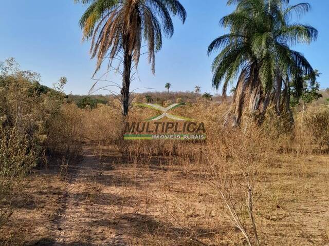 #663 - Fazenda para Venda em Brasília de Minas - MG