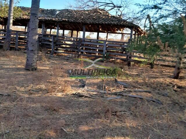 #663 - Fazenda para Venda em Brasília de Minas - MG