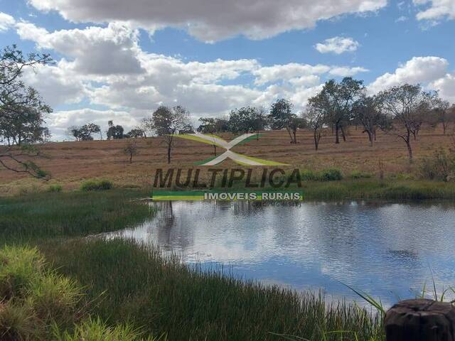 #664 - Fazenda para Venda em Campina Verde - MG - 3