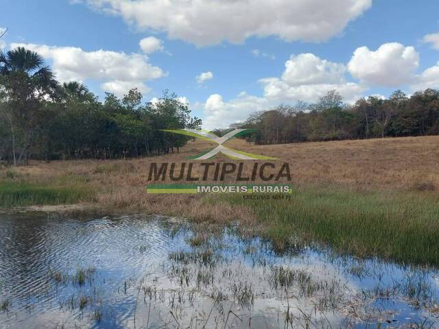 #664 - Fazenda para Venda em Campina Verde - MG - 2