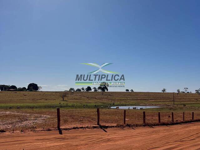 #665 - Fazenda para Venda em União de Minas - MG - 2