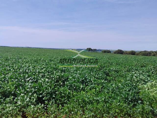 #666 - Fazenda para Venda em Monte Alegre de Minas - MG - 2