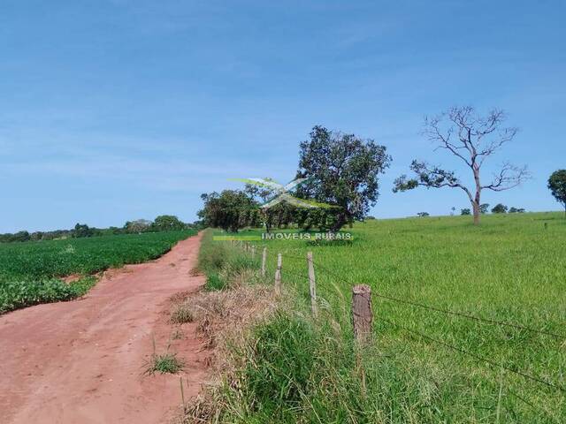 #666 - Fazenda para Venda em Monte Alegre de Minas - MG - 3