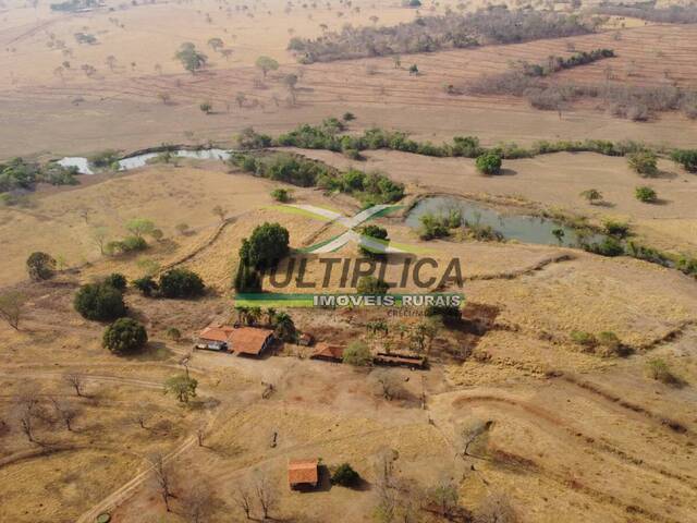 #667 - Fazenda para Venda em Campina Verde - MG - 2