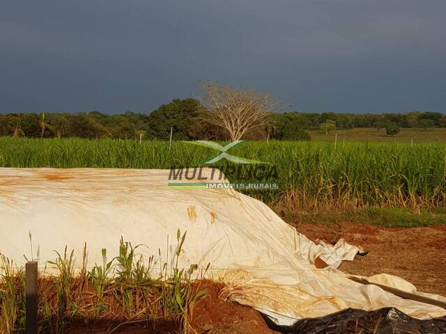 #671 - Fazenda para Venda em Iturama - MG - 2