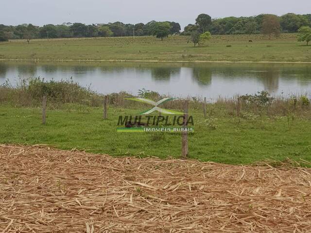 #671 - Fazenda para Venda em Iturama - MG - 3