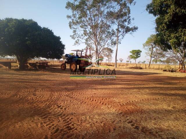 #673 - Fazenda para Venda em Iturama - MG - 1