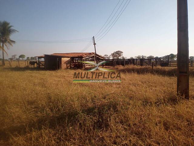 #673 - Fazenda para Venda em Iturama - MG - 3