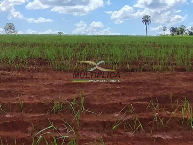 #675 - Fazenda para Venda em Iturama - MG - 3