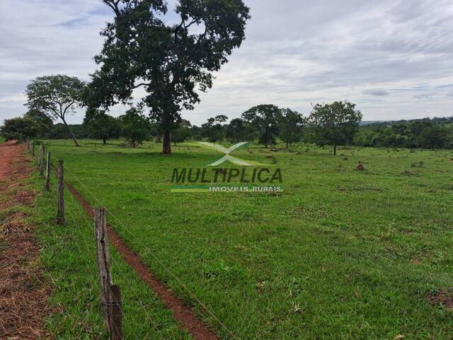 #676 - Fazenda para Venda em União de Minas - MG