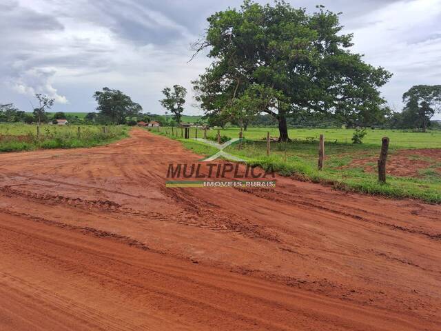 #676 - Fazenda para Venda em União de Minas - MG