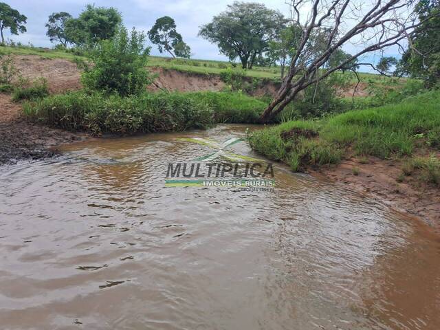 #676 - Fazenda para Venda em União de Minas - MG