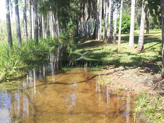 lindo sitio em uberlandia