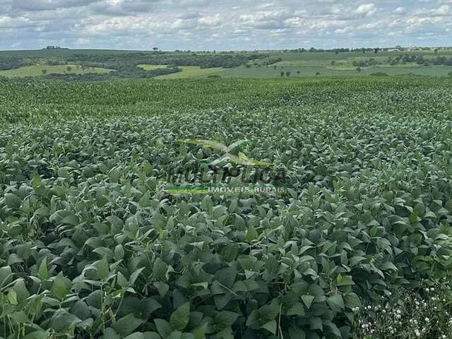 #681 - Fazenda para Venda em Uberaba - MG